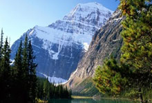 球队内部轮换引发球员自由竞争的故事