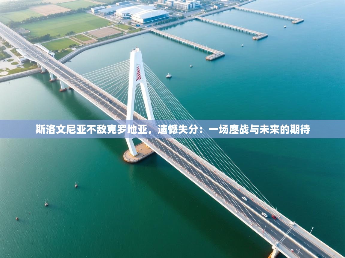 斯洛文尼亚不敌克罗地亚，遗憾失分：一场鏖战与未来的期待  第2张