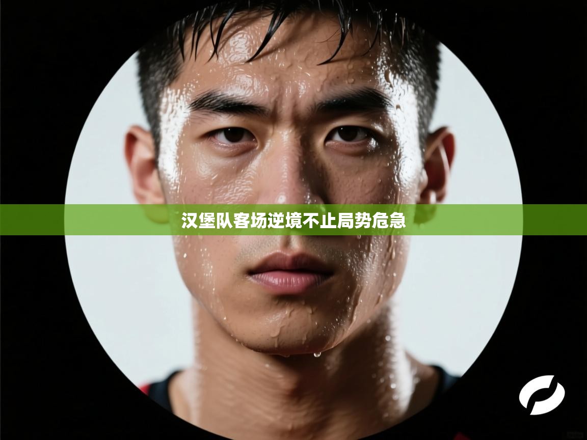 汉堡队客场逆境不止局势危急 第2张